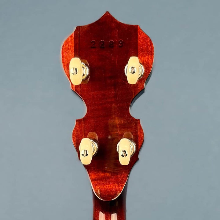 Custom Deering Eagle II 19-Fret Tenor Openback Banjo Deering 4 String Banjos