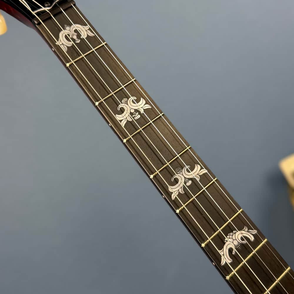 Custom Deering Eagle II 19-Fret Tenor Openback Banjo Deering 4 String Banjos