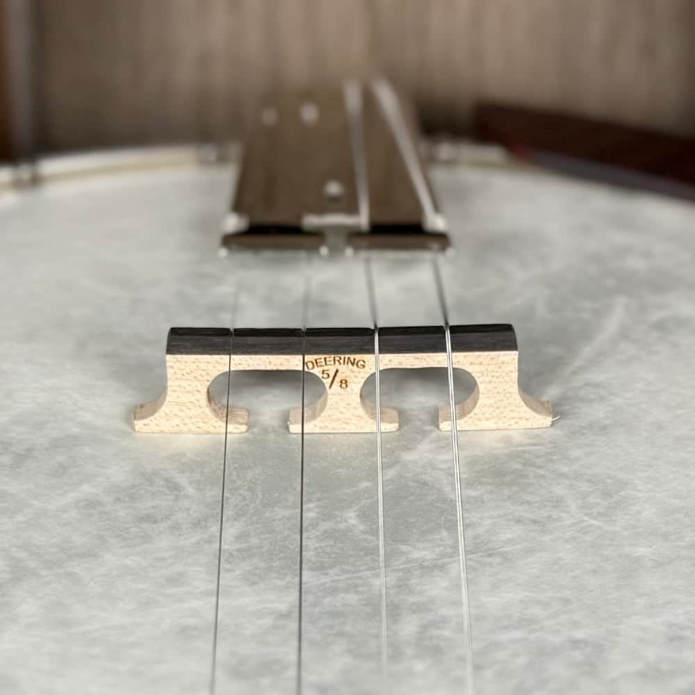 Custom Deering Eagle II 19-Fret Tenor Openback Banjo Deering 4 String Banjos