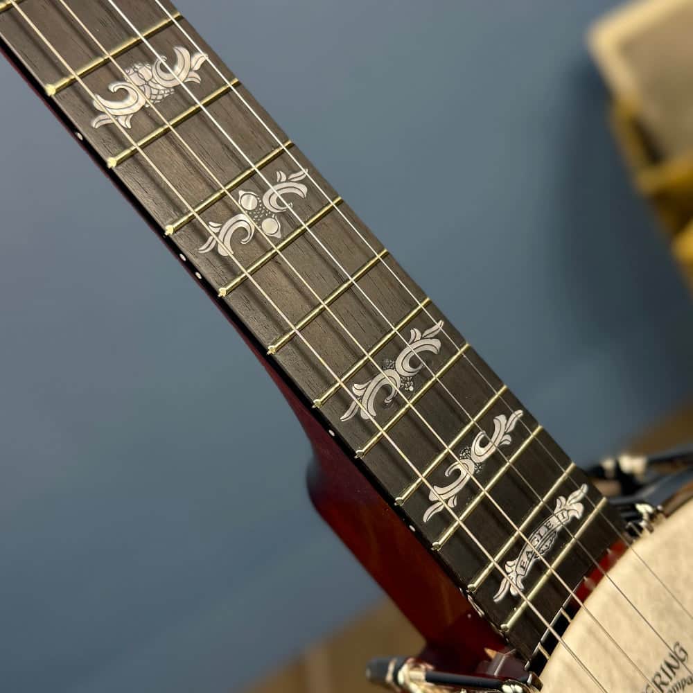 Custom Deering Eagle II 19-Fret Tenor Openback Banjo Deering 4 String Banjos