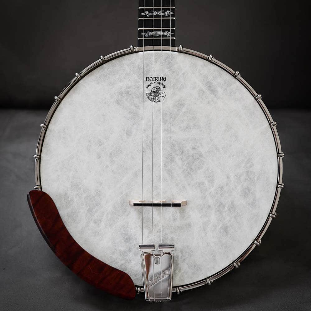 32 String Banjo Pre-Orders – Banjo Studio