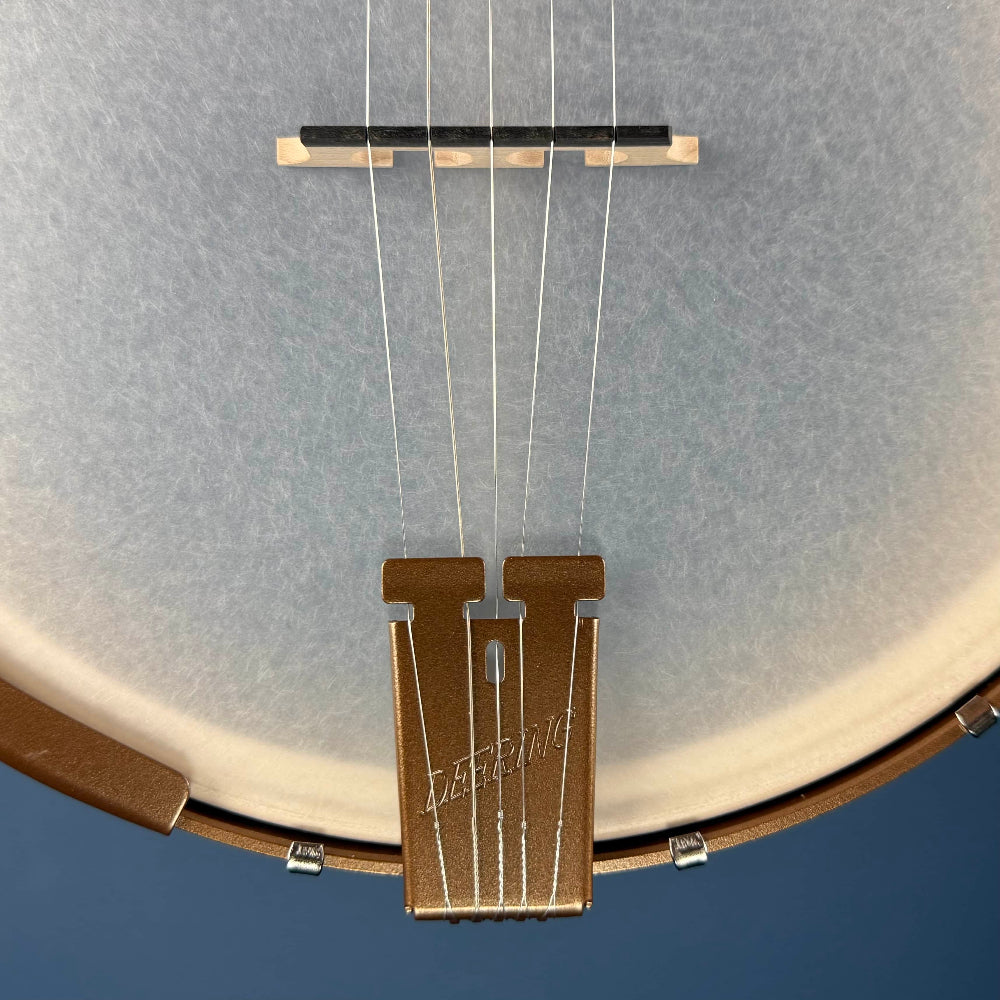 Custom Deering Goodtime Americana 5-String Banjo with Scoop, Planetary Tuners, and Spikes Deering 5 String Banjos