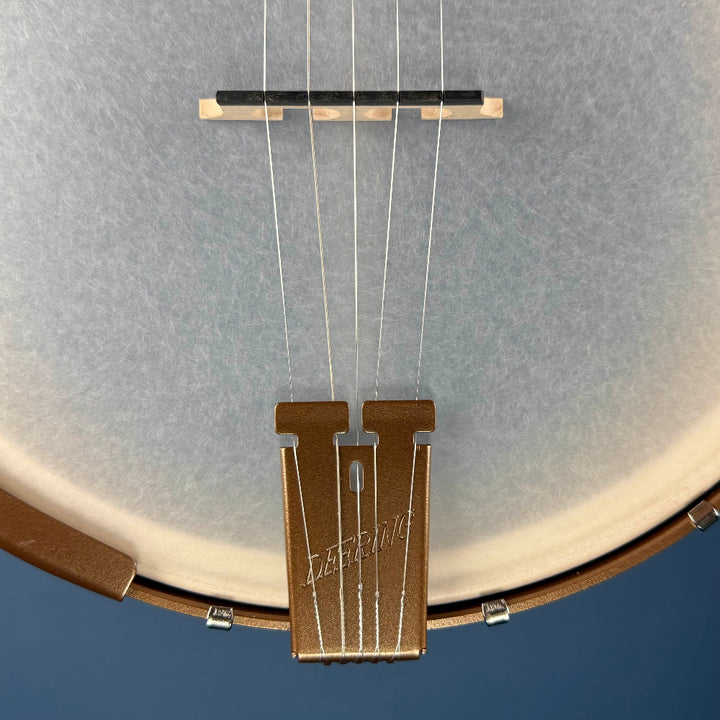 Custom Deering Goodtime Americana 5-String Banjo with Scoop, Planetary Tuners, and Spikes Deering 5 String Banjos