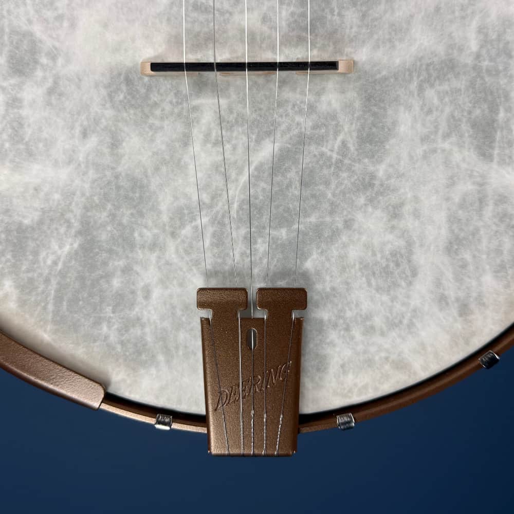 Custom Deering Goodtime Americana 5-String Banjo with Scoop, Planetary Tuners, Fiberskin Head, and Spikes Deering 5 String Banjos