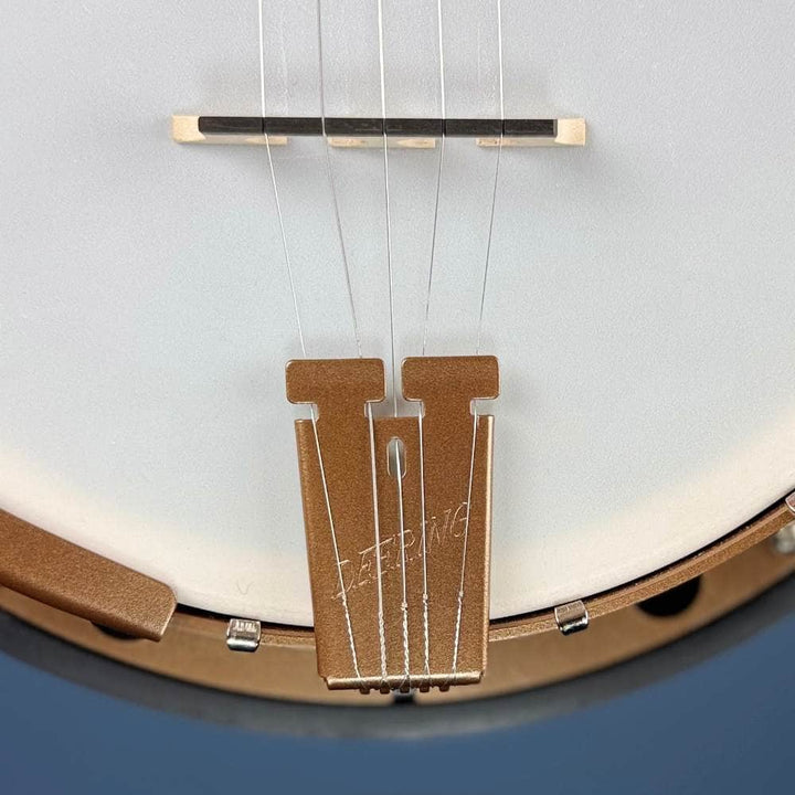 Custom Deering Goodtime Parlor Two 5-String Banjo with Resonator Deering 5 String Banjos