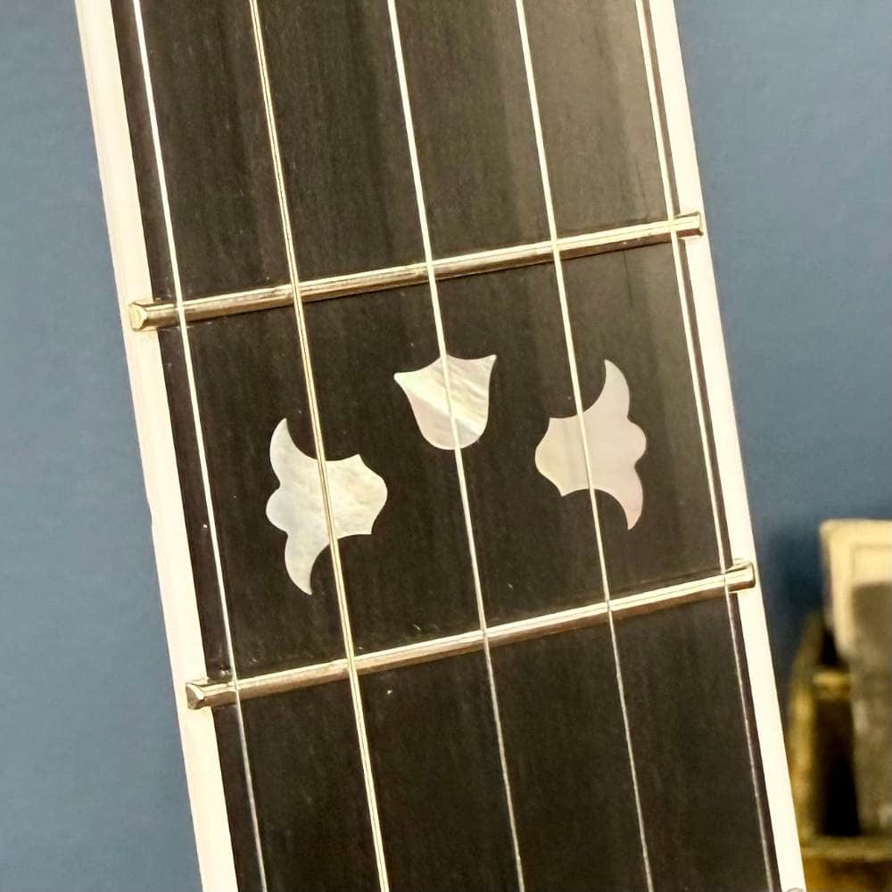 Custom Deering Maple Blossom Caribbean Blue Fade 5-String Banjo Deering 5 String Banjos Default