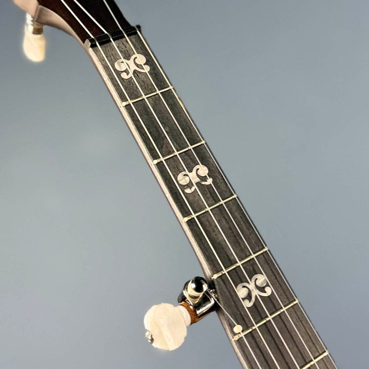 Custom Deering NYLON Artisan Goodtime Americana Banjo with Scoop, Bronze Hardware and Skintone Head Deering 5 String Openback Banjo