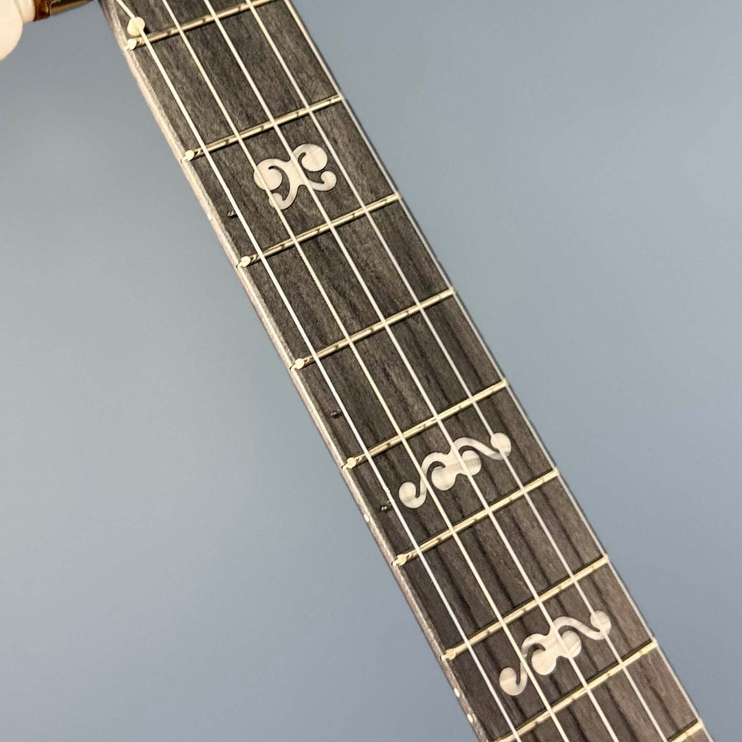 Custom Deering NYLON Artisan Goodtime Americana Banjo with Scoop, Bronze Hardware and Skintone Head Deering 5 String Openback Banjo