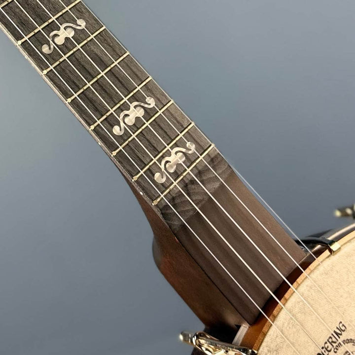 Custom Deering NYLON Artisan Goodtime Americana Banjo with Scoop, Bronze Hardware and Skintone Head Deering 5 String Openback Banjo
