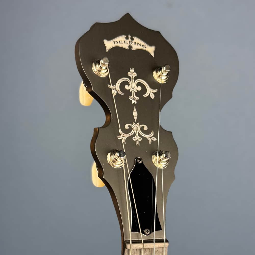 Custom Deering Sierra 19-Fret Tenor Banjo with Pre-War Flange & Fiberskyn Head Deering 4 String Banjos
