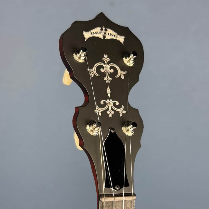 Custom Deering Sierra Maple 5-String Banjo Dark Eagle II Stain Deering 5 String Banjos
