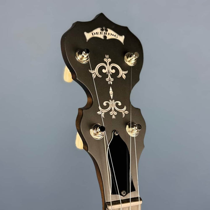Custom Deering Sierra Maple 5-String Banjo Dark Hartford Stain Deering 5 String Banjos