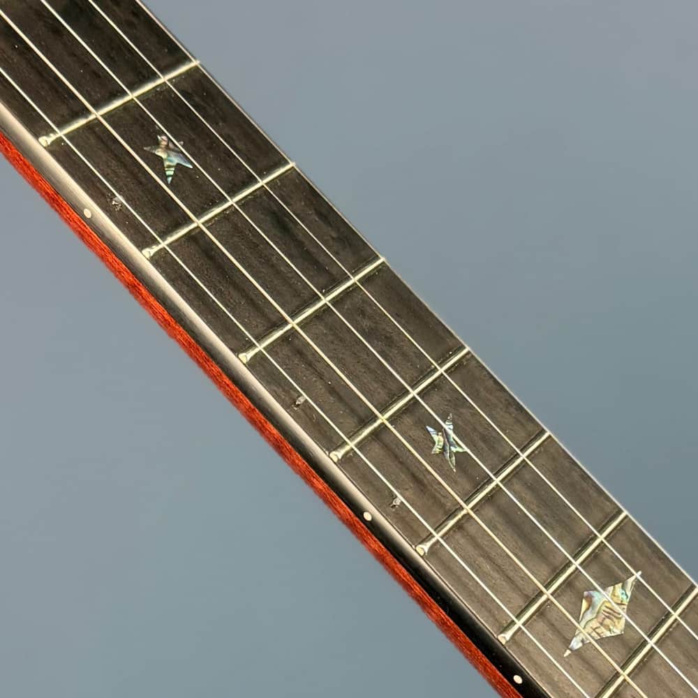 Custom Ome Jubilee Bird's Eye Maple 5-String Banjo Ome Banjos 5 String Banjos