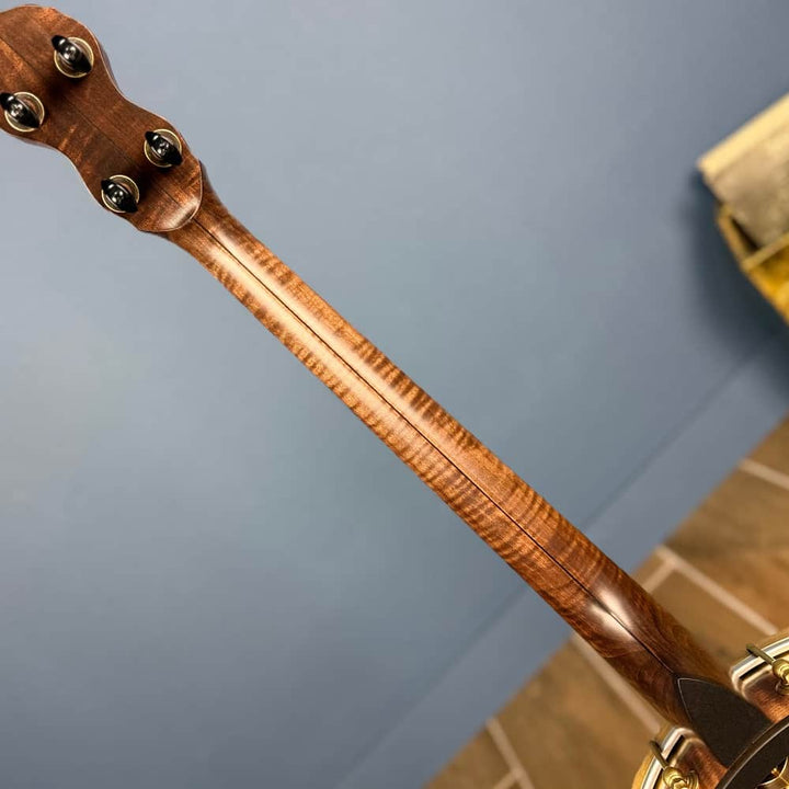 Custom Pisgah Tenor Laydie 19-Fret - 11" Curly Maple 4-String Electric Tone Ring Pisgah 4 String Banjos