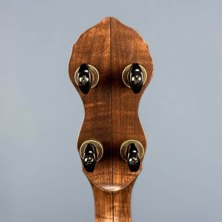 Custom Pisgah Tenor Laydie 19-Fret - 11" Curly Maple 4-String Electric Tone Ring Pisgah 4 String Banjos