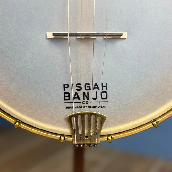 Custom Pisgah Tenor Laydie 19-Fret - 11" Curly Maple 4-String Electric Tone Ring Pisgah 4 String Banjos
