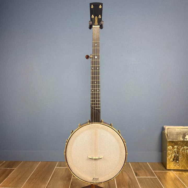 Custom Rickard Dobson 12" Banjo Walnut with Purfling Band Rickard 5 String Banjos
