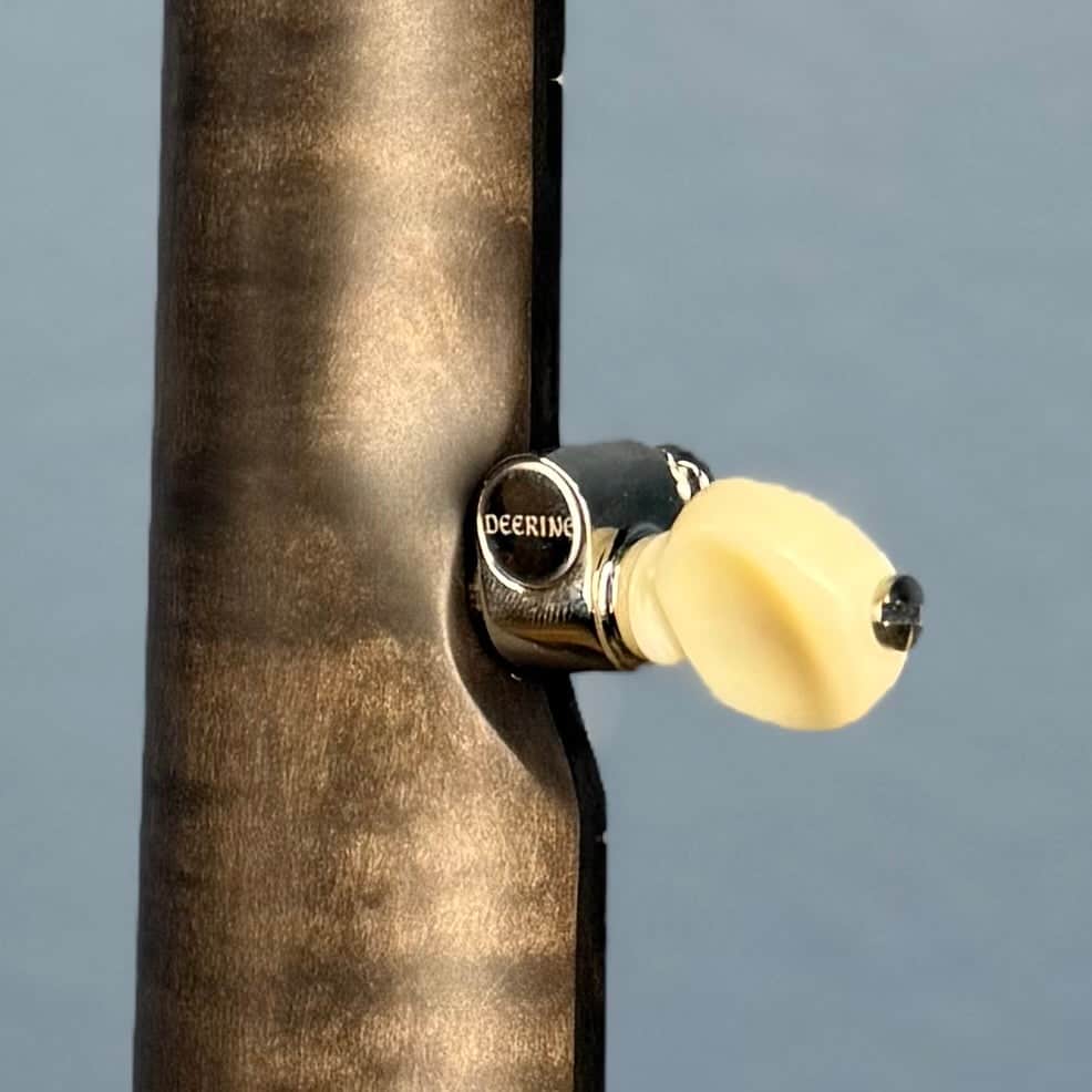 Custom Vega Old Time Wonder Banjo with 12" Rim Deering 5 String Banjos