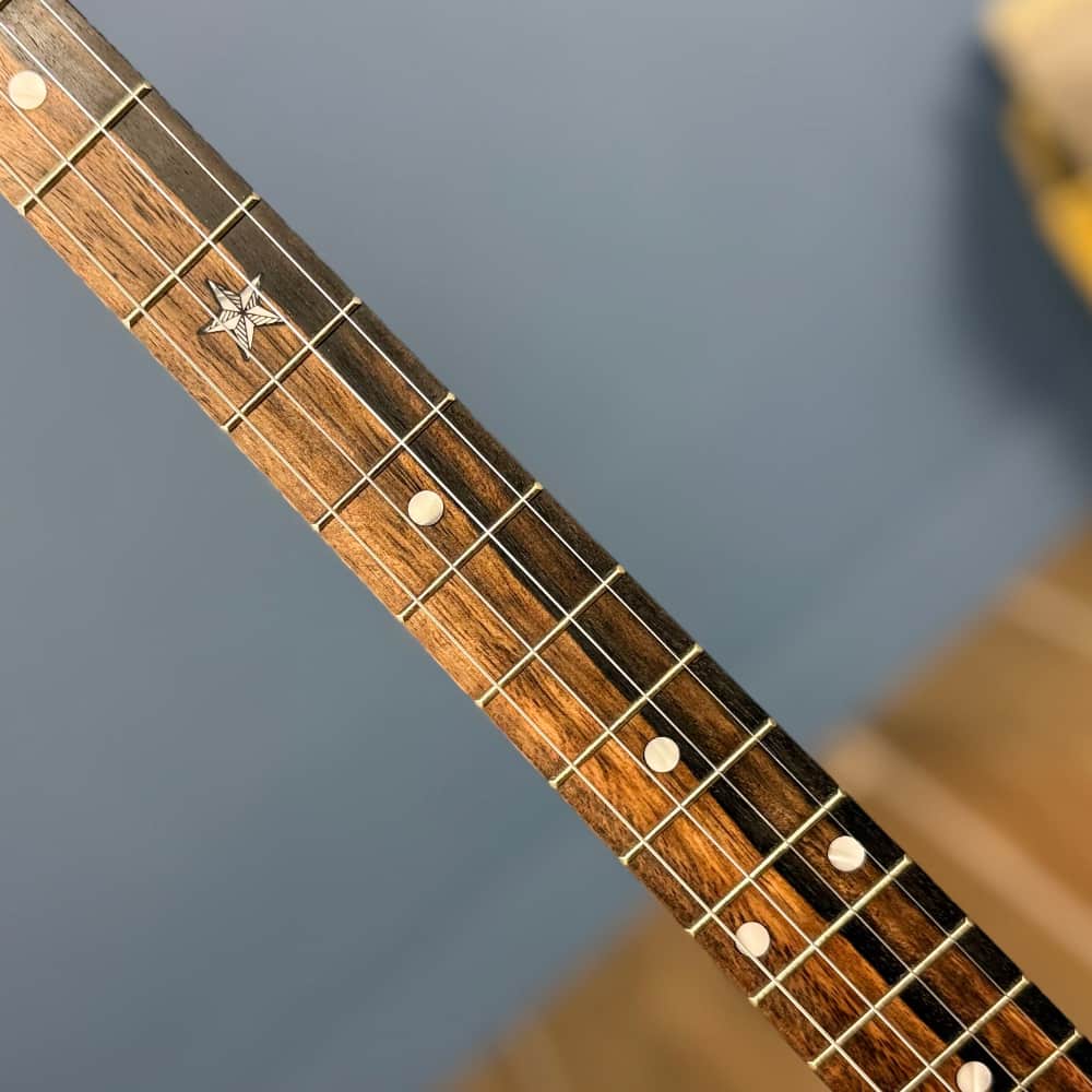 Custom Vega Senator 19-Fret Tenor Banjo with Fiberskin head, Vintage Star Hardware and Marbled Fretboard Deering 4 String Banjos Default