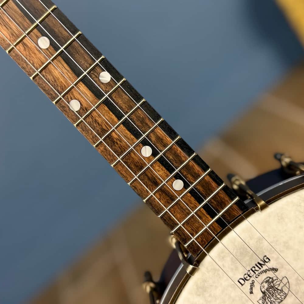 Custom Vega Senator 19-Fret Tenor Banjo with Fiberskin head, Vintage Star Hardware and Marbled Fretboard Deering 4 String Banjos Default