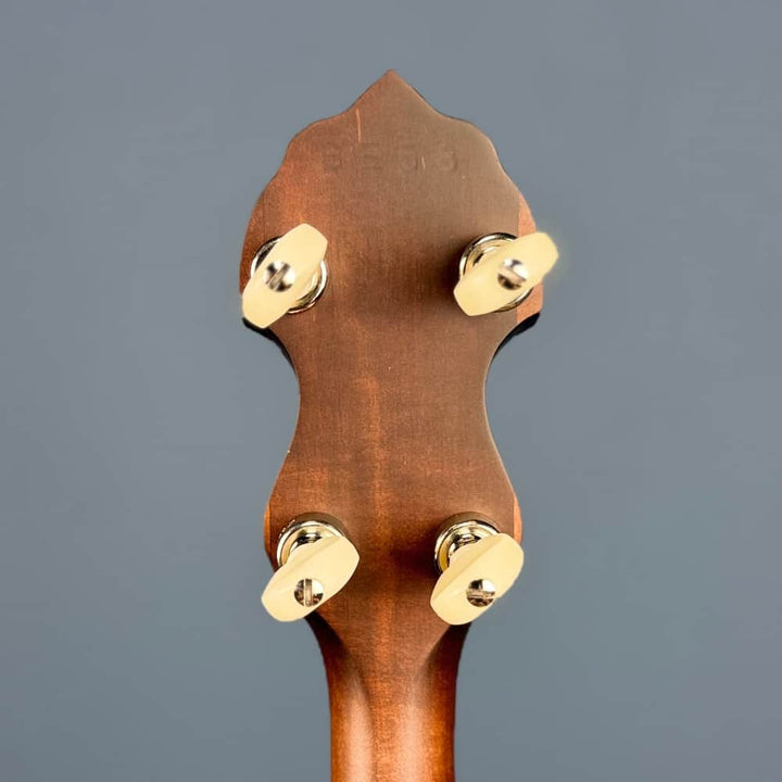 Custom Vega Senator 19-Fret Tenor Banjo with Fiberskin head, Vintage Star Hardware and Marbled Fretboard Deering 4 String Banjos Default