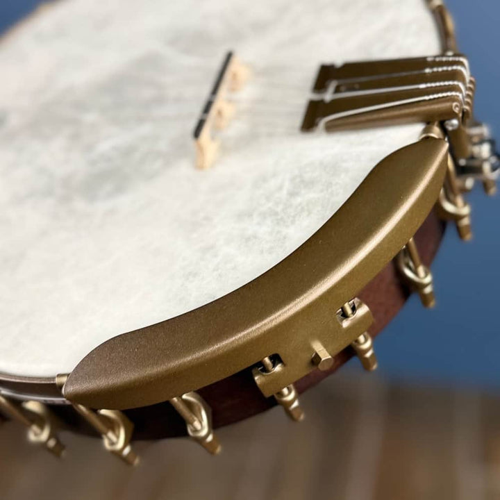 Custom Vega Senator 19-Fret Tenor Banjo with Fiberskin head, Vintage Star Hardware and Marbled Fretboard Deering 4 String Banjos Default