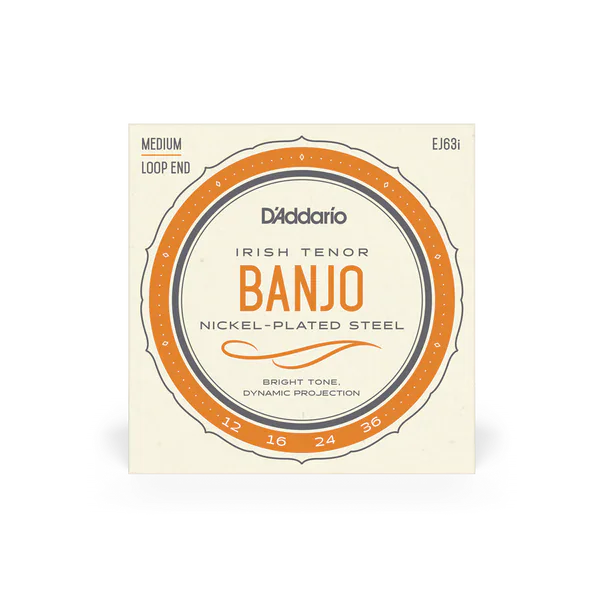 D'Addario EJ63i Irish Tenor Banjo Strings - Medium D'Addario Banjo Strings