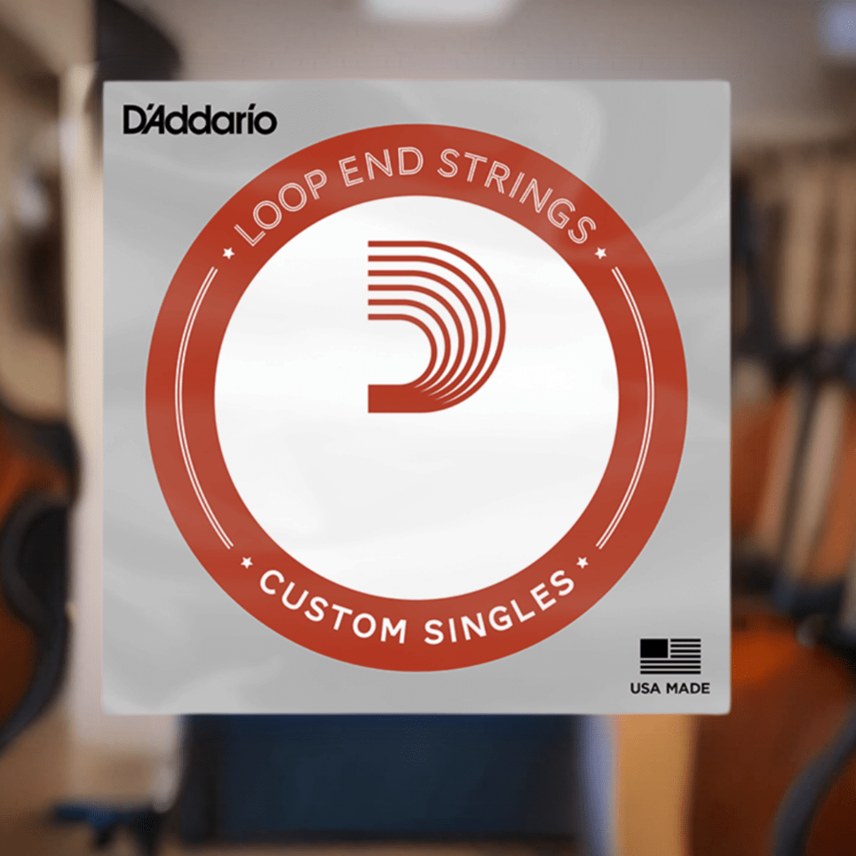 D'Addario Loop End Singles Banjo Studio