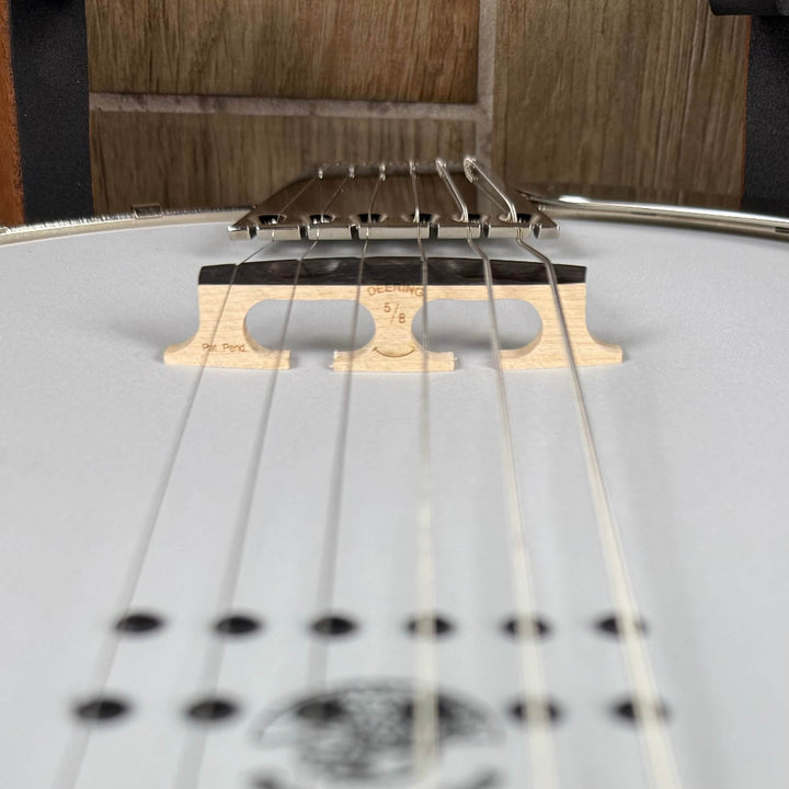 Deering Boston Acoustic/Electric 6-String Banjo Deering 6 String Banjos