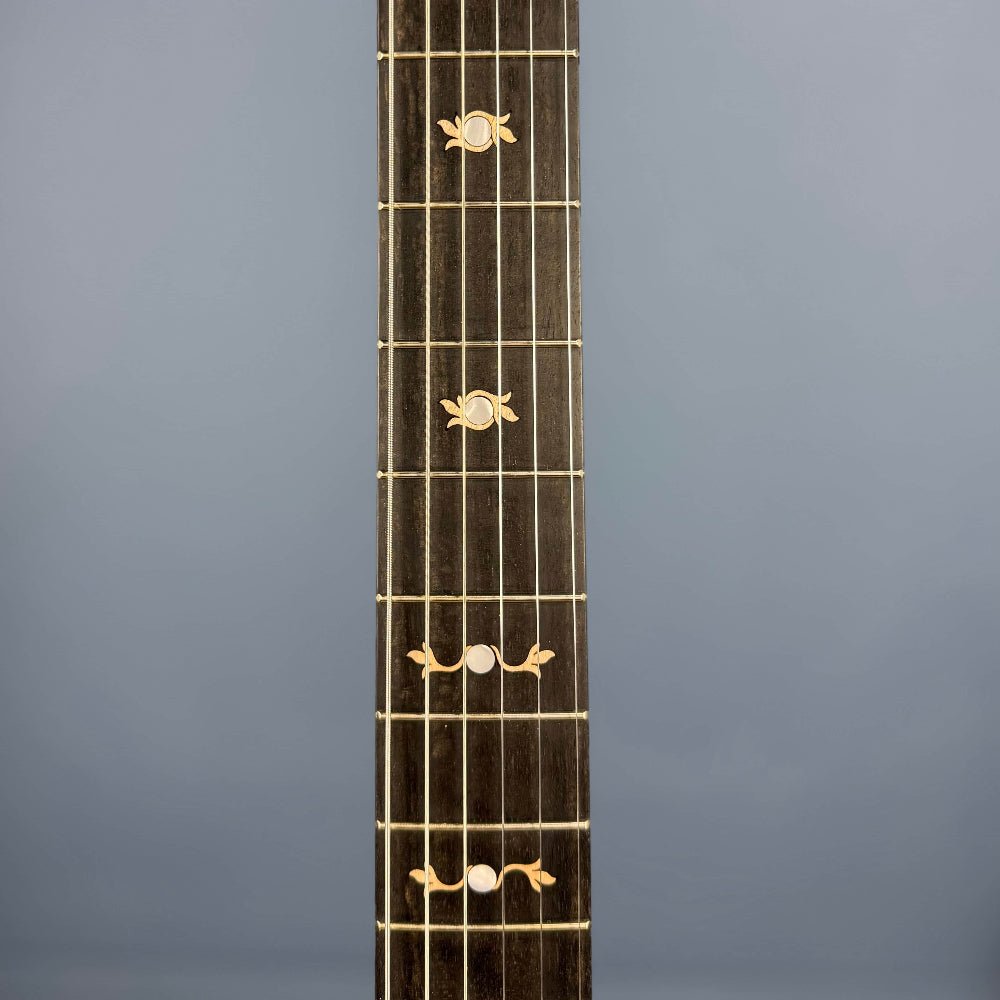 Deering Boston Acoustic/Electric 6-String Banjo Deering 6 String Banjos