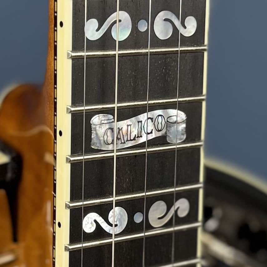 Deering Calico 5-String Banjo Demo Deering 5 String Banjos