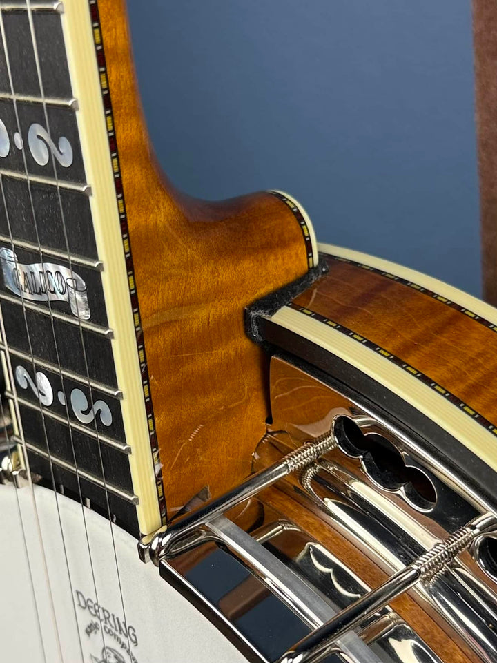 Deering Calico 5-String Banjo Demo Deering 5 String Banjos