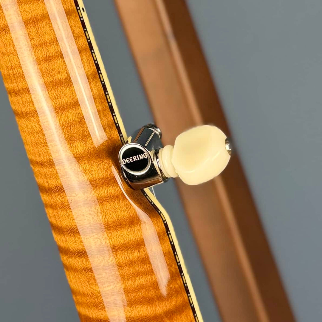 Deering Calico 5-String Banjo Demo Deering 5 String Banjos