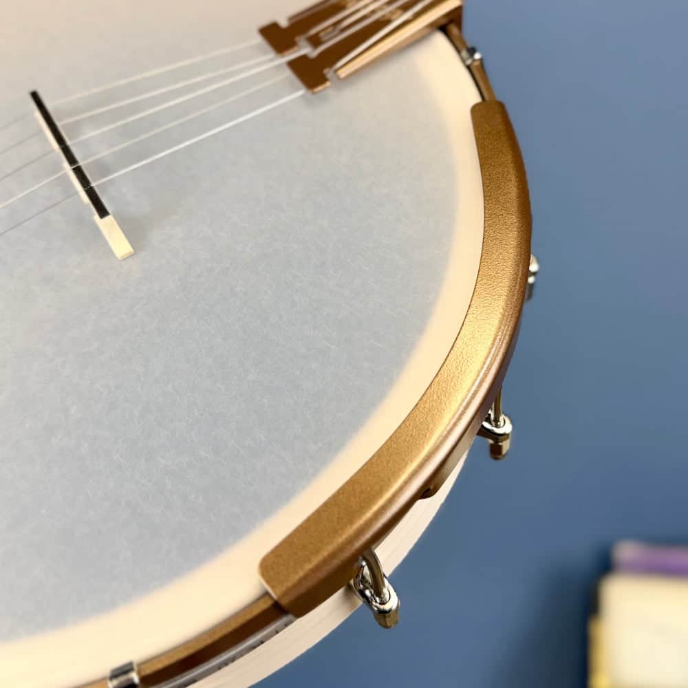 Deering Goodtime Americana 5-String Banjo Deering 5 String Banjos