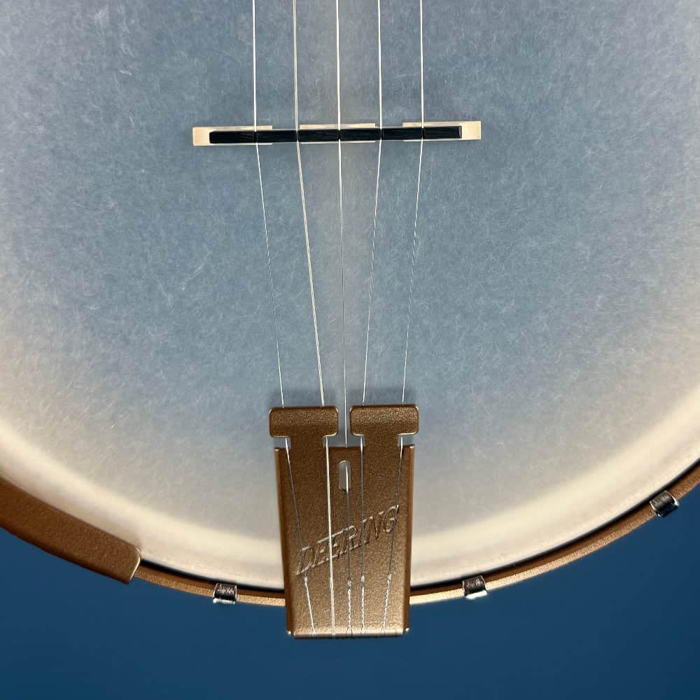 Deering Goodtime Americana with Scooped Neck Deering 5 String Banjos