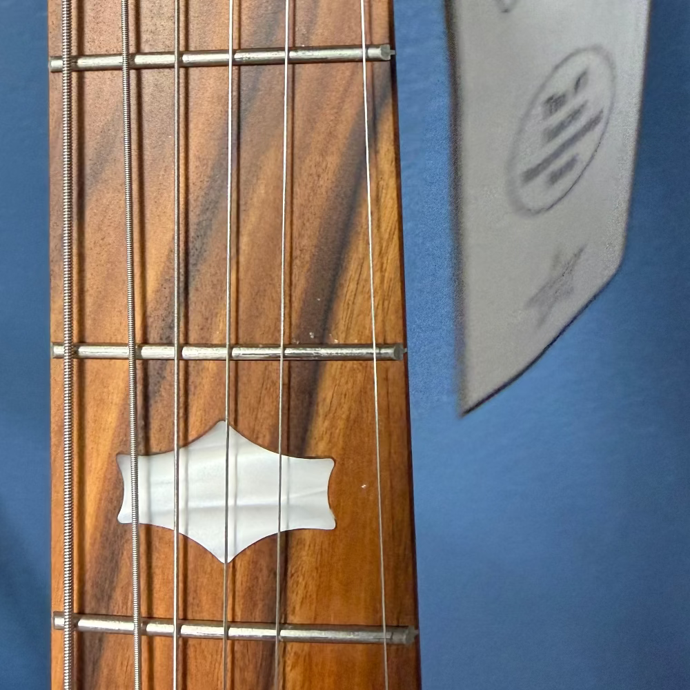 Deering Goodtime Six 6 String Banjo Demo Deering Banjos