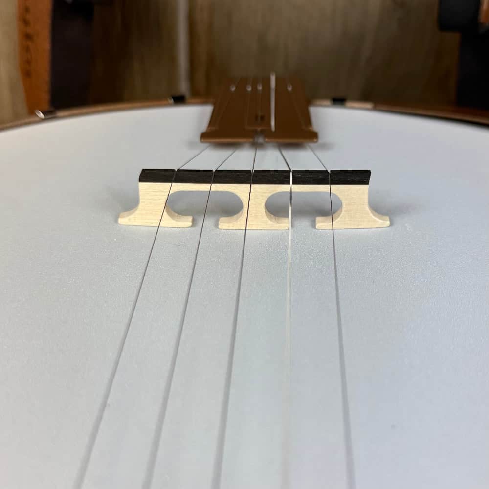 Deering Goodtime Special Banjo Deering 5 String Banjos