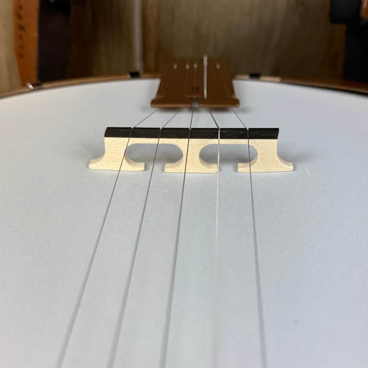 Deering Goodtime Special Banjo Deering 5 String Banjos