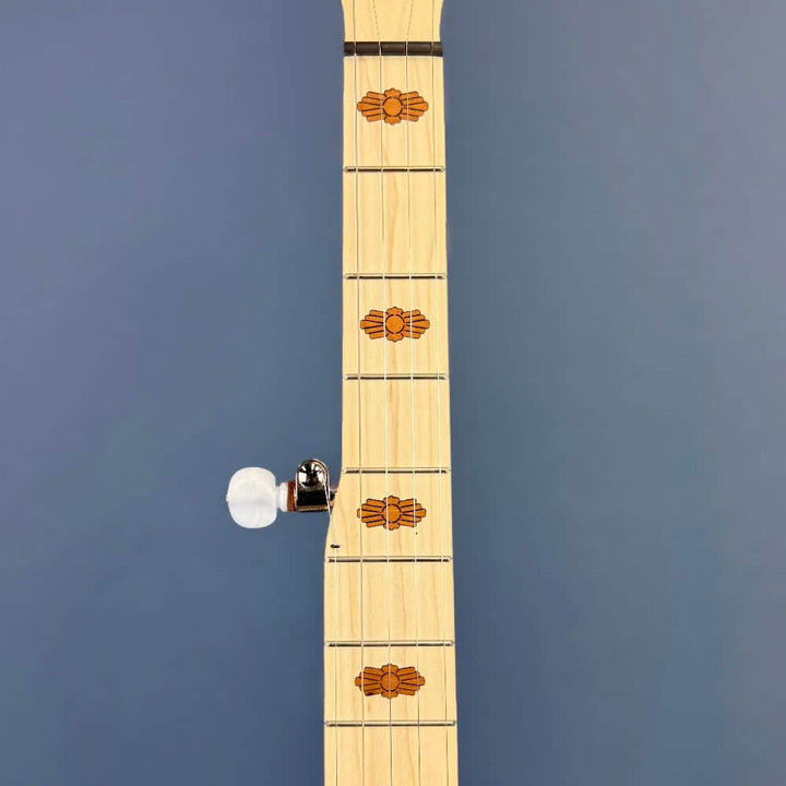 Deering Goodtime Special Banjo Deering 5 String Banjos
