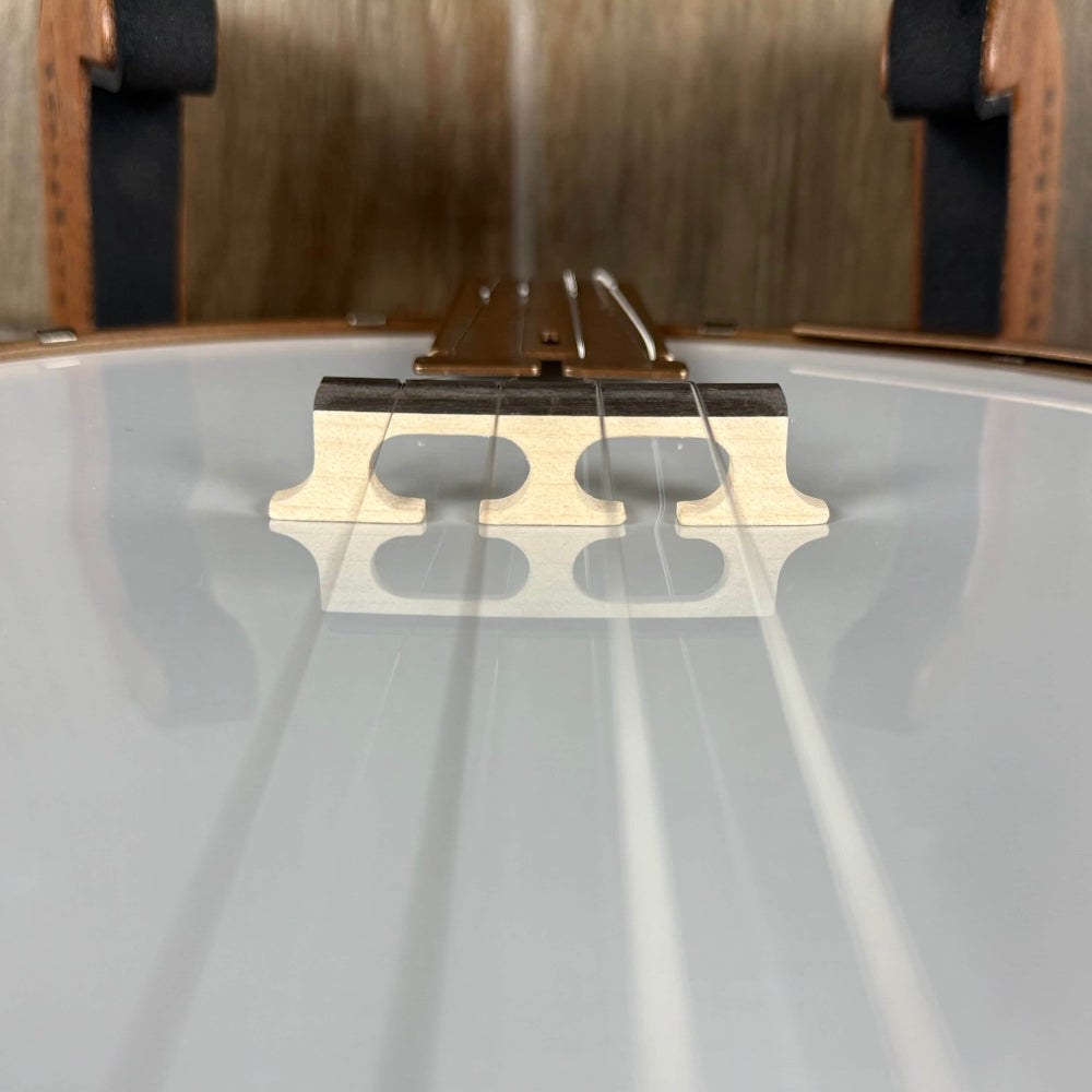 Deering Goodtime Two 19-Fret Tenor Banjo Deering 4 String Banjos