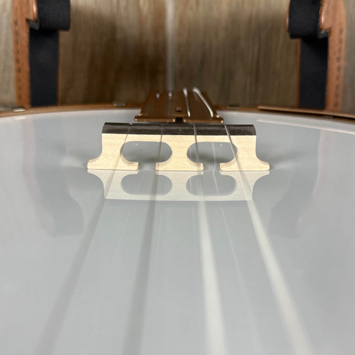 Deering Goodtime Two 19-Fret Tenor Banjo Deering 4 String Banjos