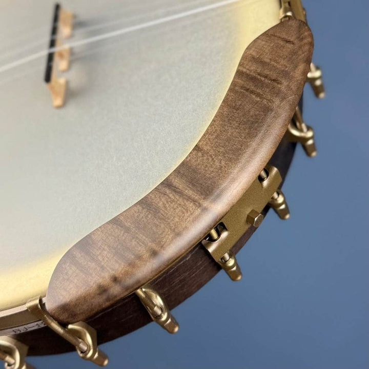 Deering NYLON Vega Vintage Star 5-String Banjo Vega 5 String Openback Banjo