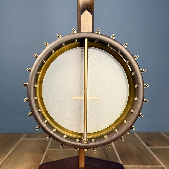 Deering NYLON Vega Vintage Star 5-String Banjo Vega 5 String Openback Banjo