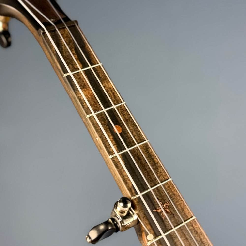 Deering NYLON Vega Vintage Star 5-String Banjo Vega 5 String Openback Banjo
