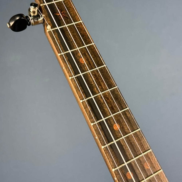 Deering NYLON Vega Vintage Star 5-String Banjo Vega 5 String Openback Banjo
