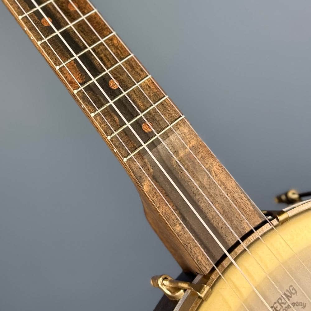 Deering NYLON Vega Vintage Star 5-String Banjo Vega 5 String Openback Banjo