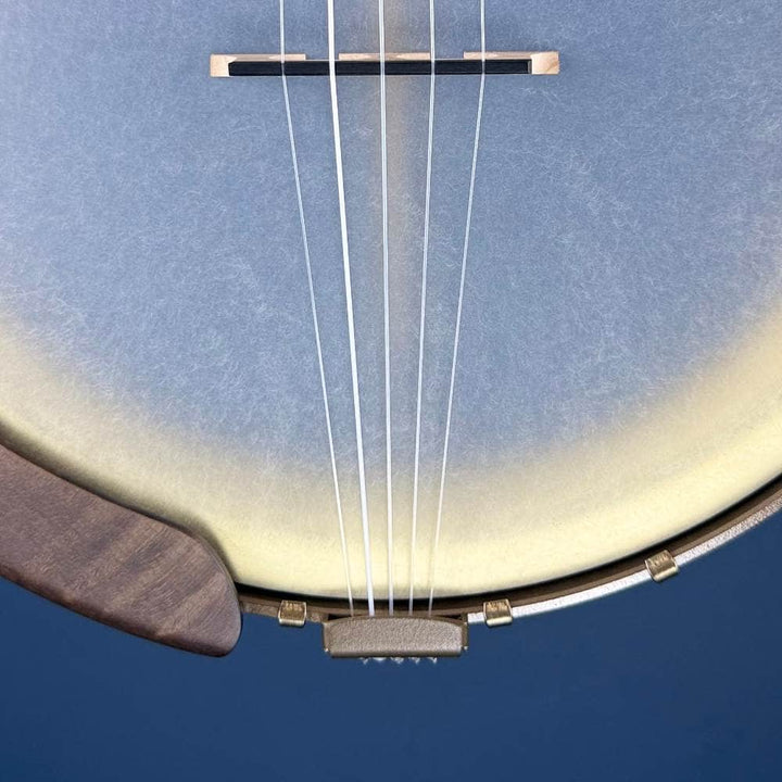 Deering NYLON Vega Vintage Star 5-String Banjo Vega 5 String Openback Banjo