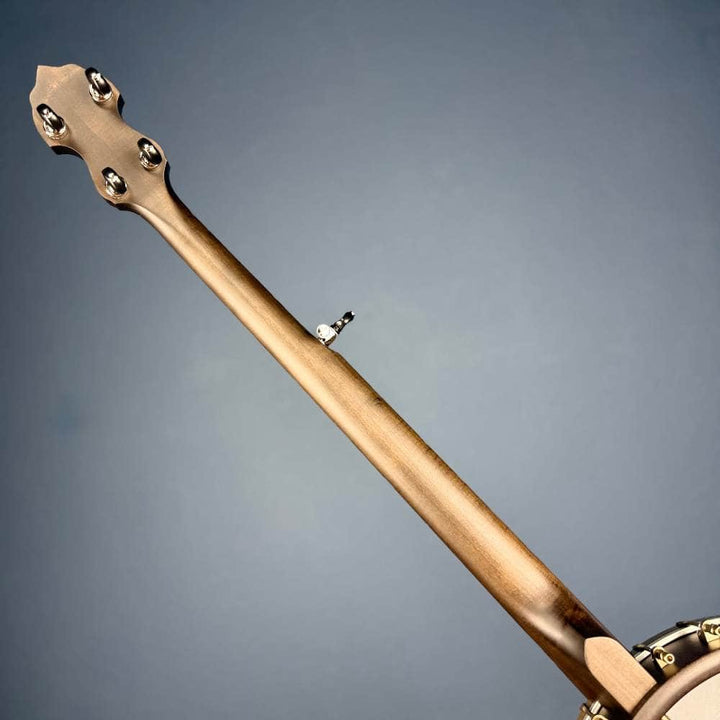 Deering NYLON Vega Vintage Star 5-String Banjo Vega 5 String Openback Banjo