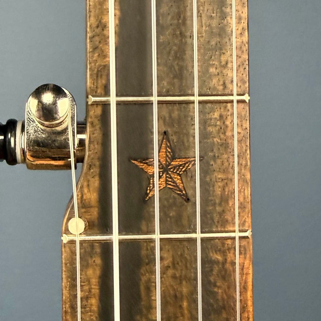 Deering NYLON Vega Vintage Star 5-String Banjo Vega 5 String Openback Banjo