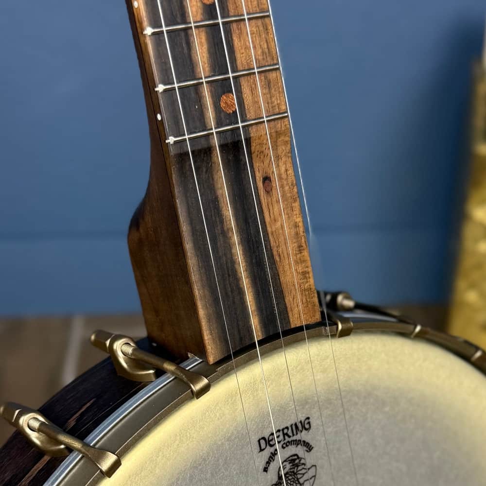 Deering Vega Vintage Star Banjo Deering 5 String Banjos
